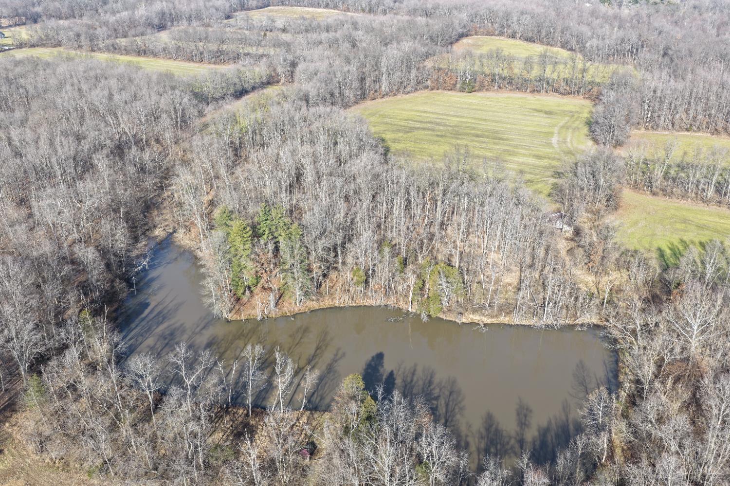 Ac Moore Road Bethel, OH 45106 - Photo 2 of 19 Gallery Image 2