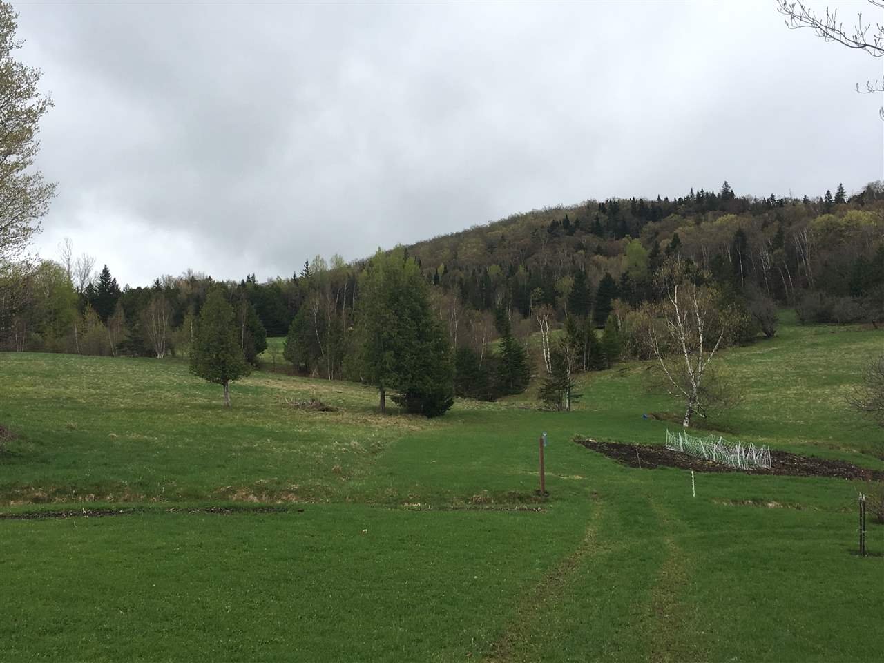 287 Sinon Road Albany, VT 05875 - Photo 37 of 40