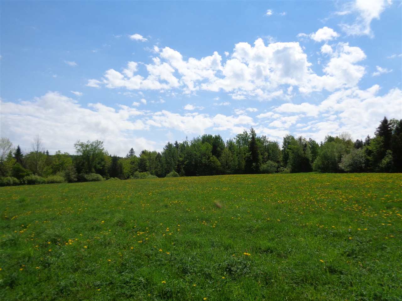 287 Sinon Road Albany, VT 05875 - Photo 6 of 40