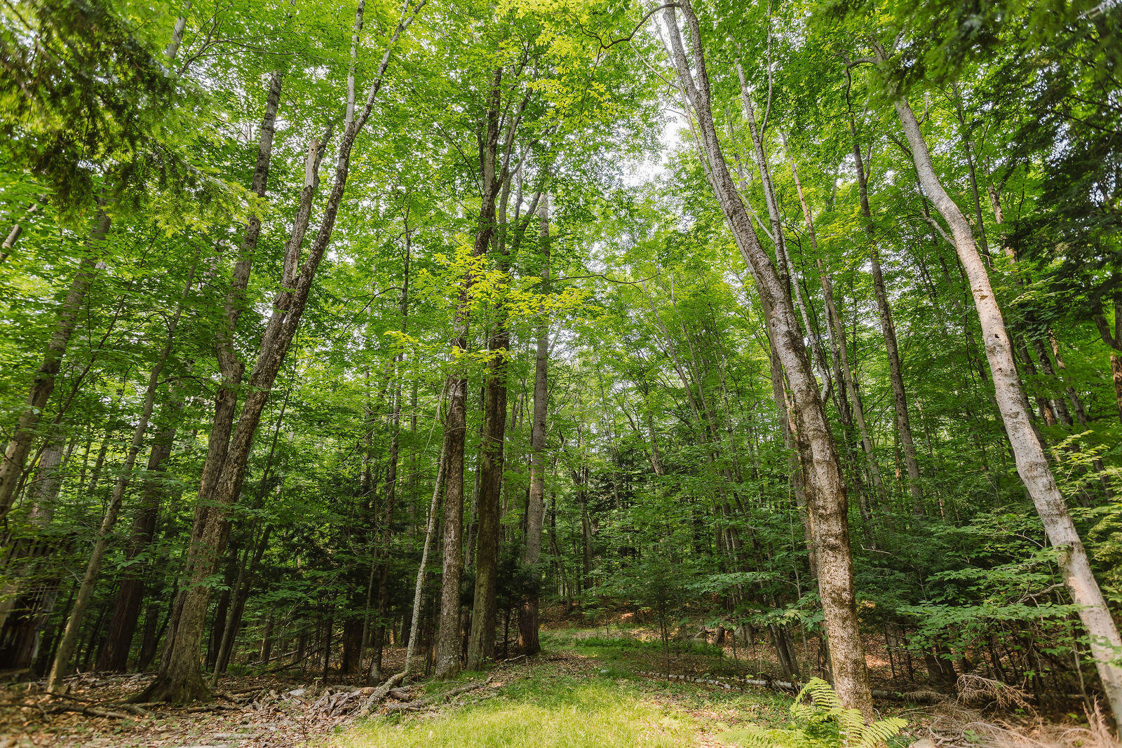 146 Belcher Road Farmington, ME 04938 - Photo 51 of 81 taylor-kaminsky-photo-61