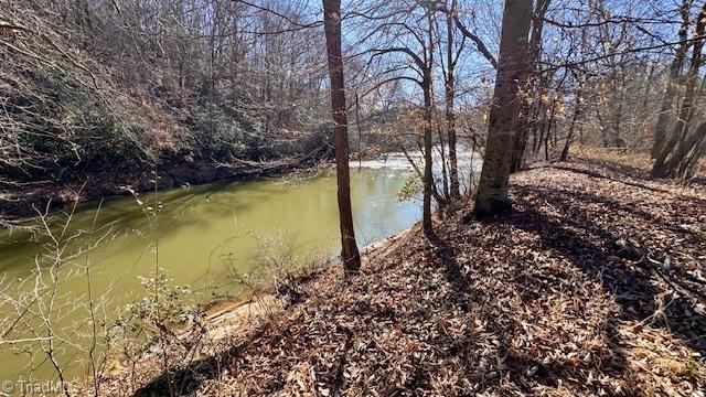 747 Chandler Road Dobson, NC 27017 - Photo 16 of 46