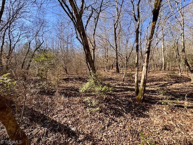 747 Chandler Road Dobson, NC 27017 - Photo 17 of 46