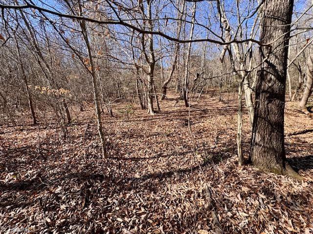 747 Chandler Road Dobson, NC 27017 - Photo 18 of 46