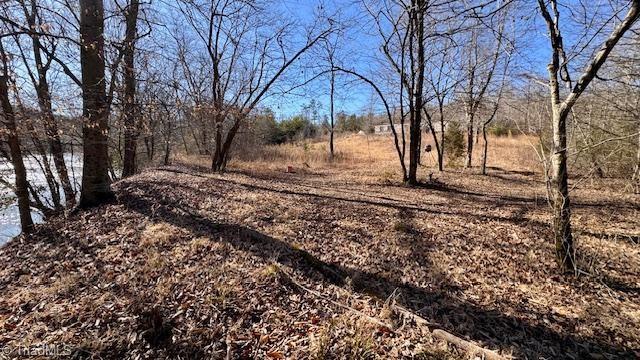 747 Chandler Road Dobson, NC 27017 - Photo 22 of 46
