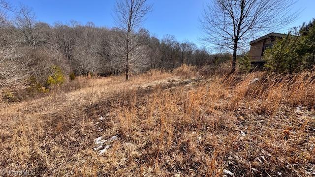 747 Chandler Road Dobson, NC 27017 - Photo 25 of 46