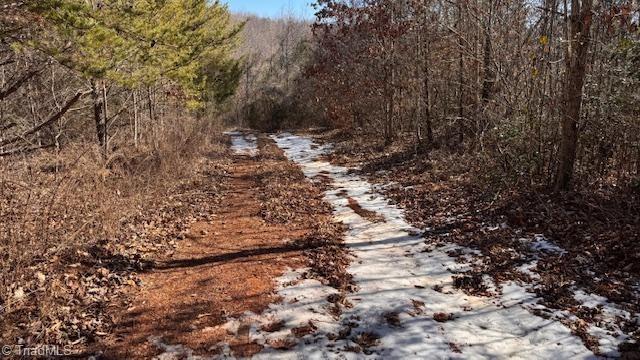747 Chandler Road Dobson, NC 27017 - Photo 29 of 46