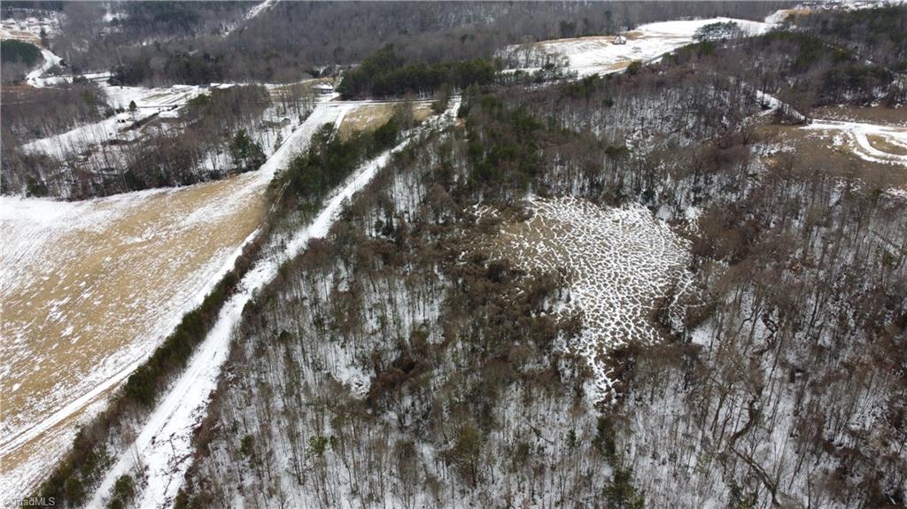 747 Chandler Road Dobson, NC 27017 - Photo 30 of 46