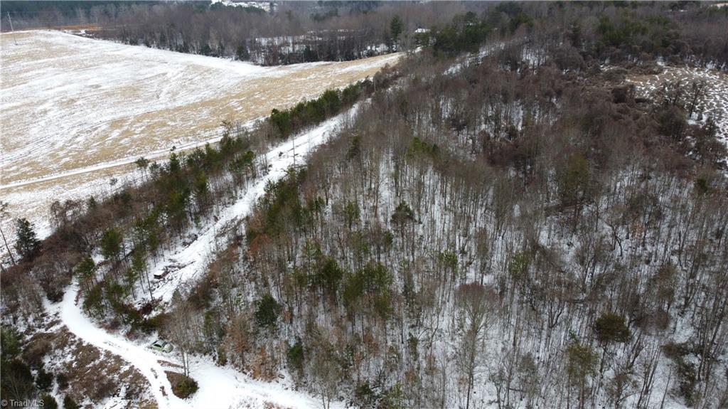 747 Chandler Road Dobson, NC 27017 - Photo 31 of 46