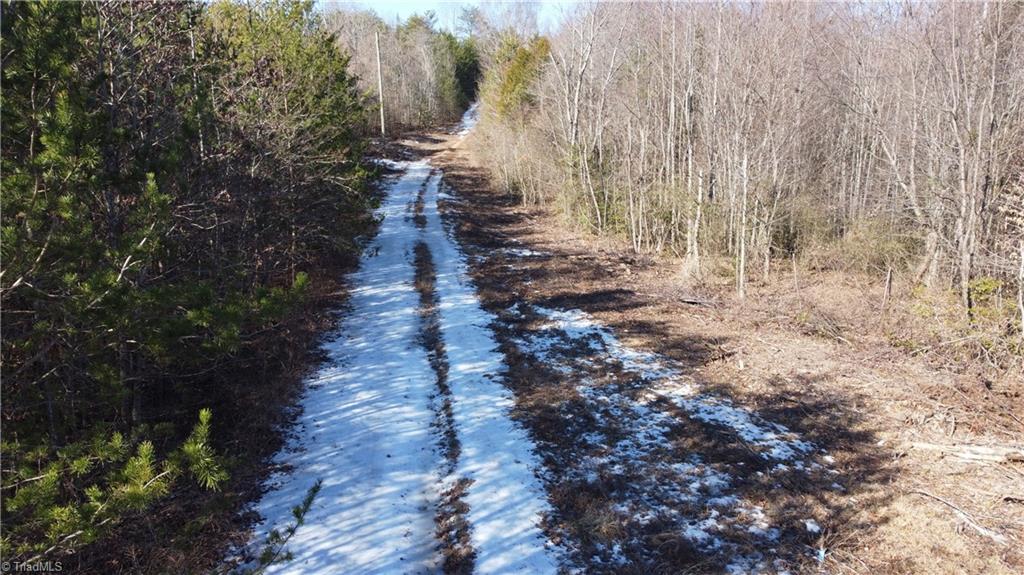 747 Chandler Road Dobson, NC 27017 - Photo 32 of 46