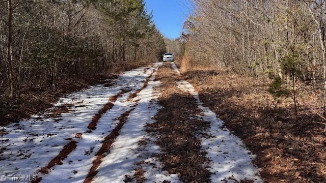 747 Chandler Road Dobson, NC 27017 - Photo 33 of 46
