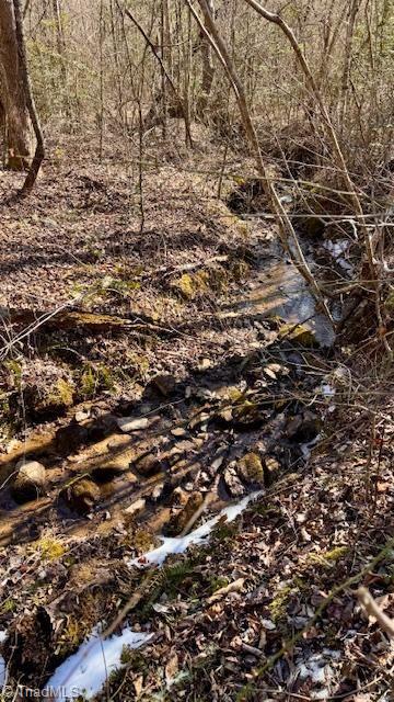 747 Chandler Road Dobson, NC 27017 - Photo 34 of 46 Stream