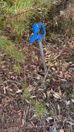 $275,000 | 747 Chandler Road, Dobson, NC 27017