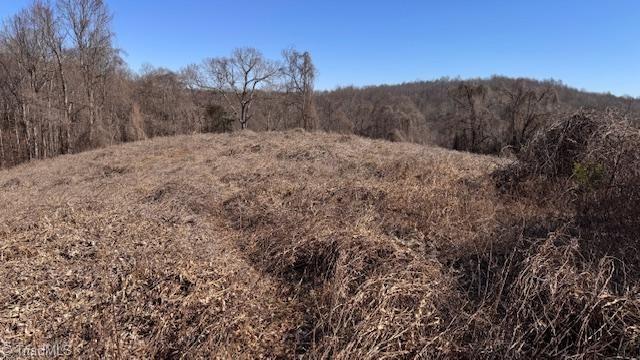 747 Chandler Road Dobson, NC 27017 - Photo 42 of 46