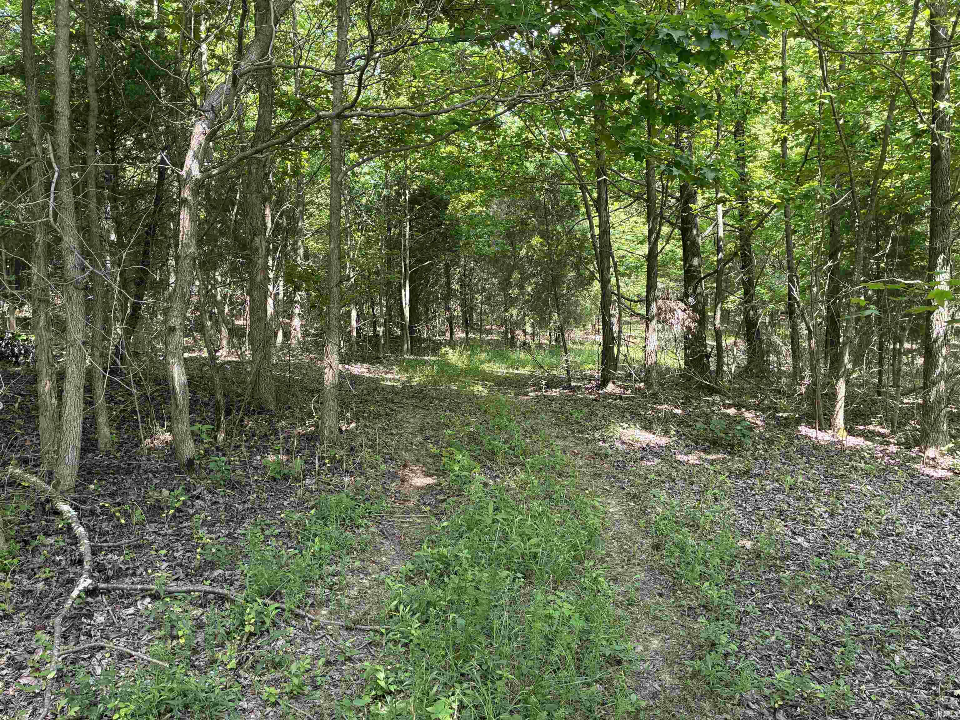 257 State Road Velpen, IN 47590 - Photo 11 of 29