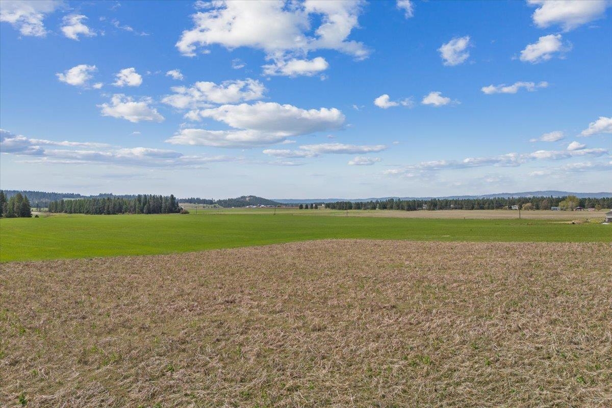7306 East Big Meadows Road Chattaroy, WA 99003 - Photo 11 of 29 Gallery Image 11