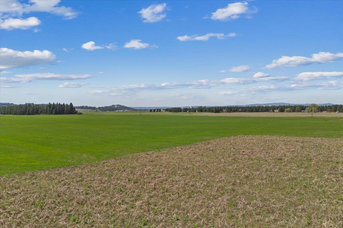 7306 East Big Meadows Road Chattaroy, WA 99003 - Photo 12 of 29 Gallery Image 12