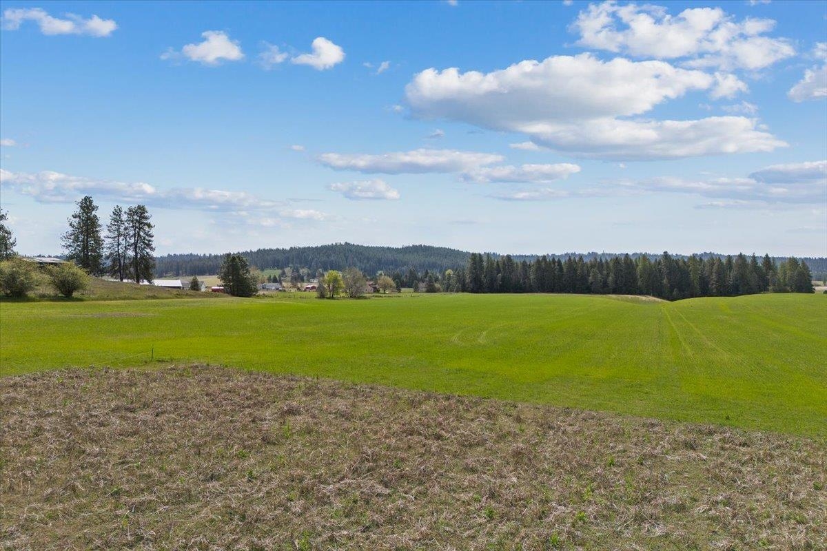 7306 East Big Meadows Road Chattaroy, WA 99003 - Photo 8 of 29 Gallery Image 8