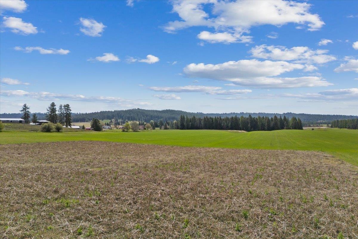 7306 East Big Meadows Road Chattaroy, WA 99003 - Photo 9 of 29 Gallery Image 9