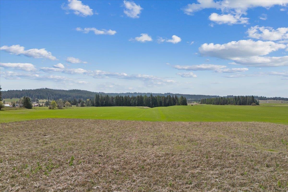 7306 East Big Meadows Road Chattaroy, WA 99003 - Photo 10 of 29 Gallery Image 10