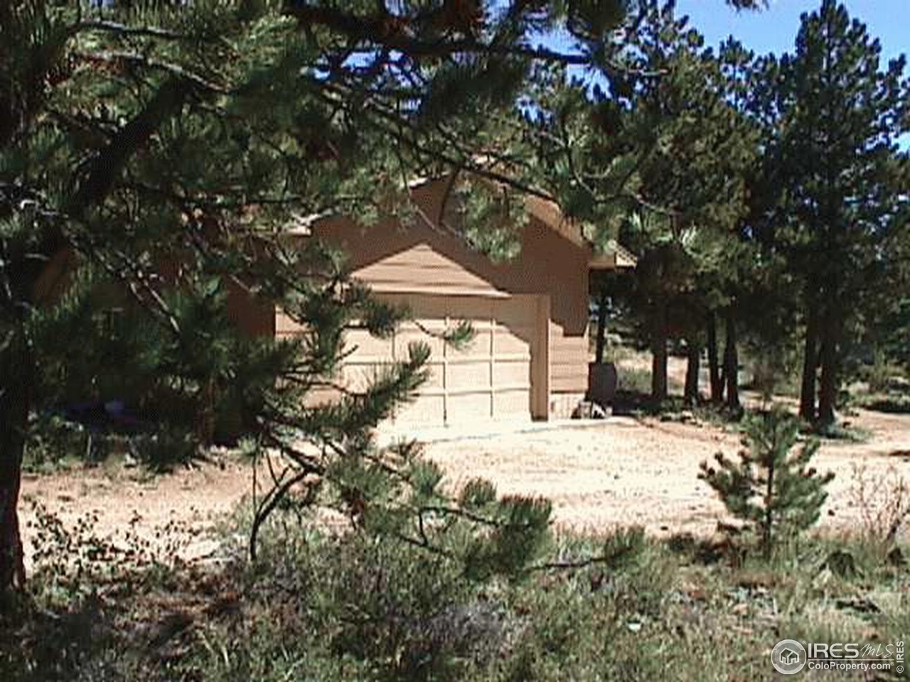 3982 Ridge Road Nederland, CO 80466 - Photo 2 of 3 a large tree covered with snow in front of house