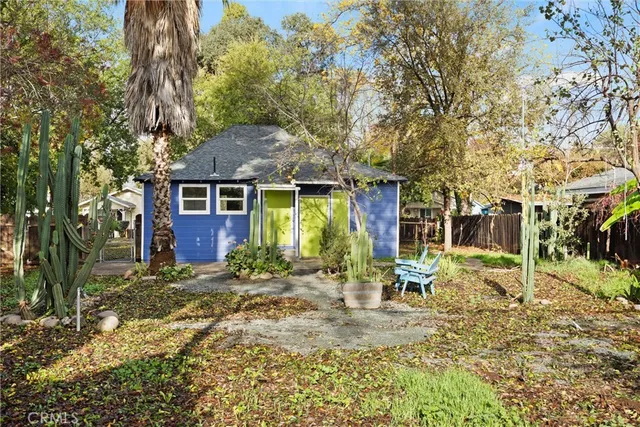 a view of a yard with plants and a large tree