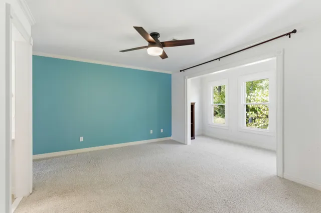 a view of a backyard with plants and garden