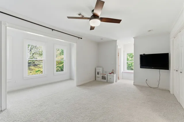 a view of a park with large trees