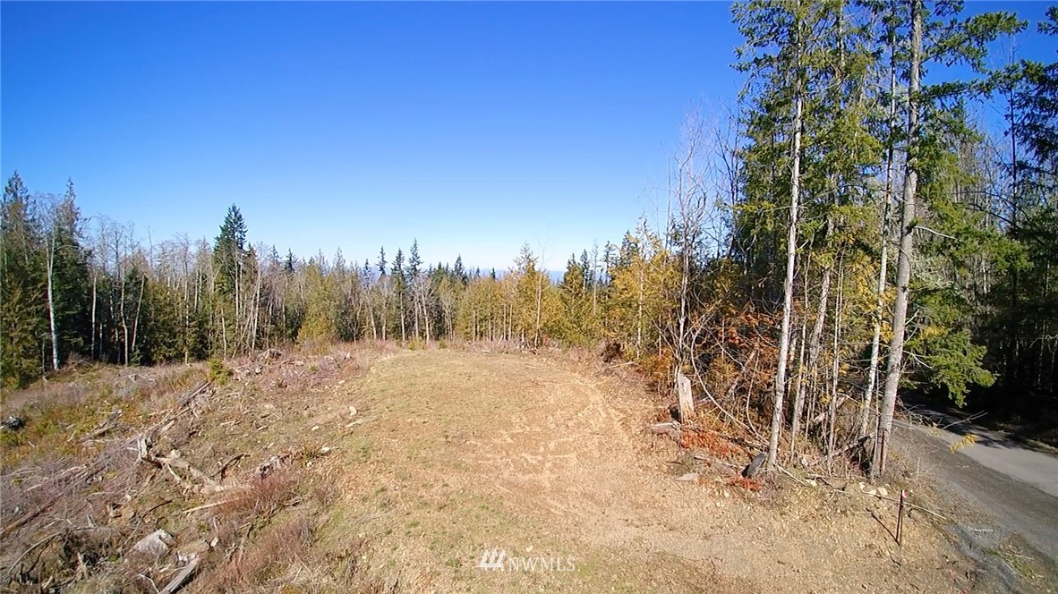 9999 Angeles Ridge Rd Port Port Angeles, WA 98362 - Photo 11 of 25 Gallery Image 11