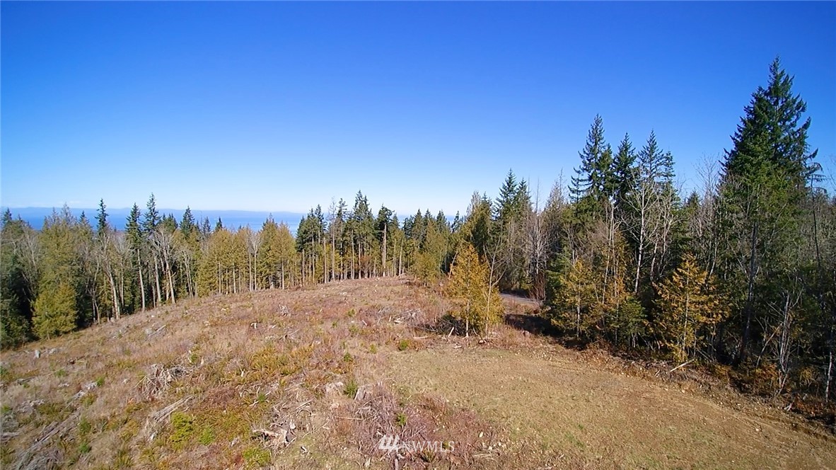 9999 Angeles Ridge Rd Port Port Angeles, WA 98362 - Photo 12 of 25 Gallery Image 12