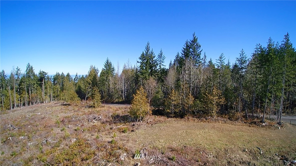 9999 Angeles Ridge Rd Port Port Angeles, WA 98362 - Photo 13 of 25 Gallery Image 13