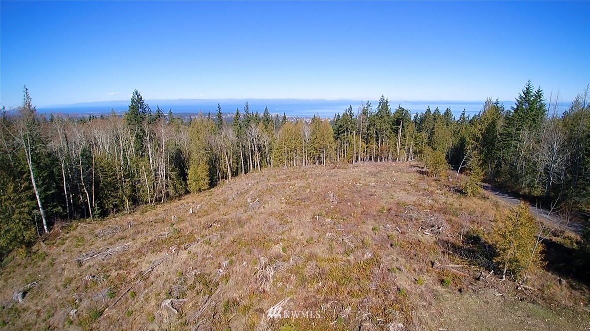 9999 Angeles Ridge Rd Port Port Angeles, WA 98362 - Photo 14 of 25 Gallery Image 14