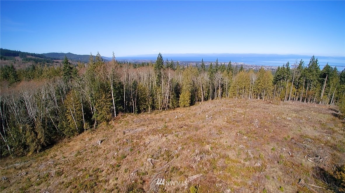 9999 Angeles Ridge Rd Port Port Angeles, WA 98362 - Photo 15 of 25 Gallery Image 15