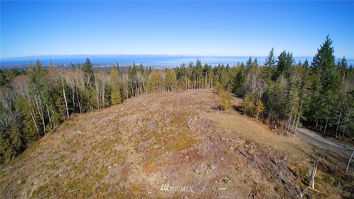 9999 Angeles Ridge Rd Port Port Angeles, WA 98362 - Photo 20 of 25 Gallery Image 20