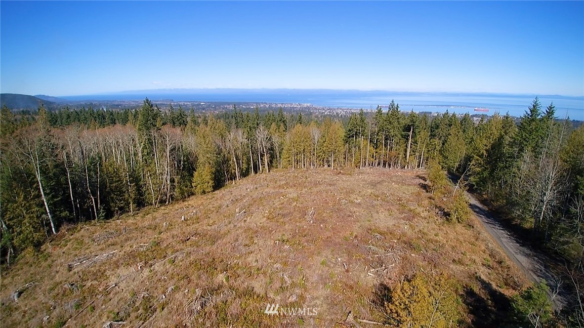9999 Angeles Ridge Rd Port Port Angeles, WA 98362 - Photo 24 of 25 Gallery Image 24