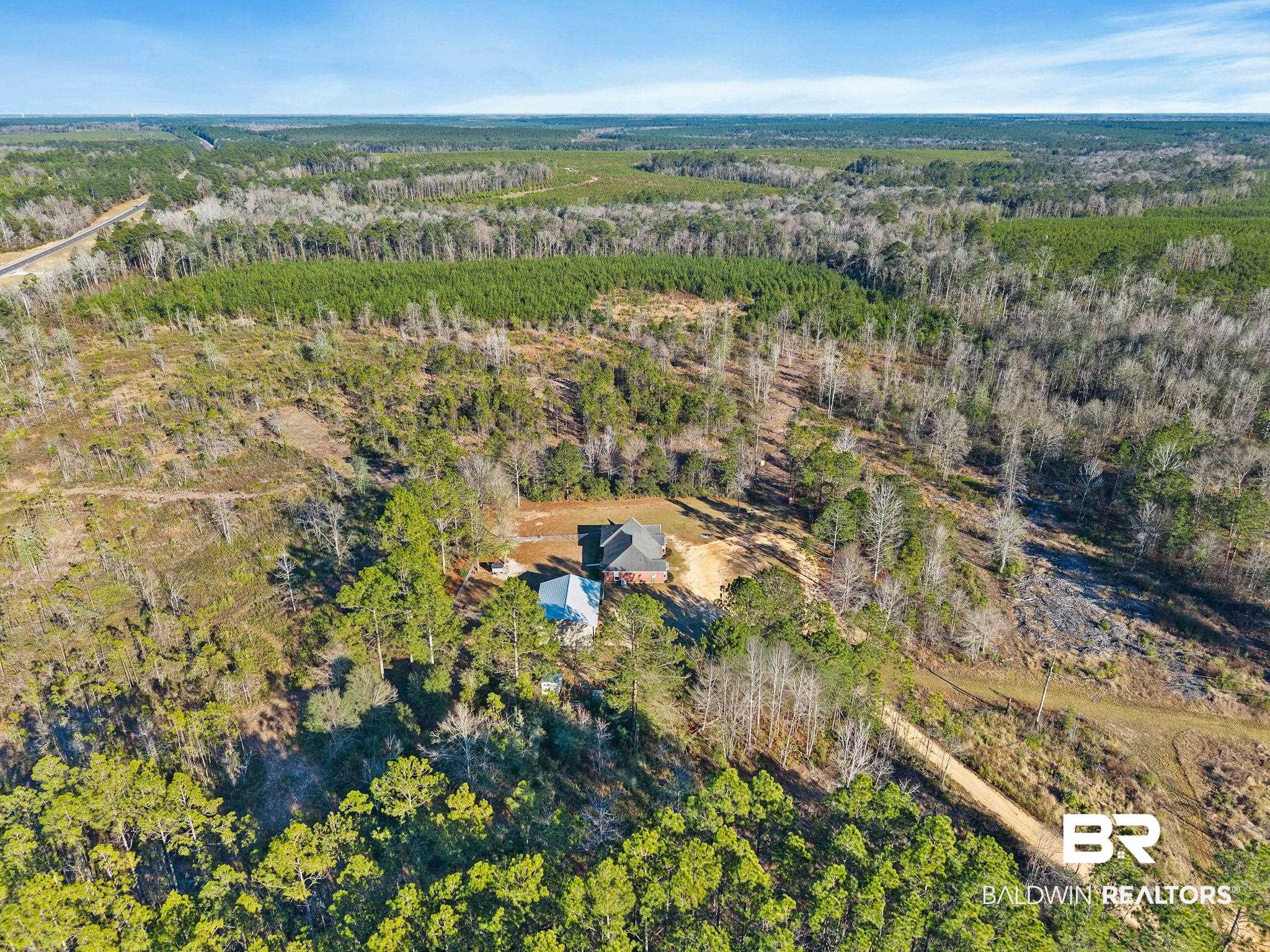 55750 Lottie Road Perdido, AL 36562 - Photo 12 of 84 View of property location featuring a heavily wooded area