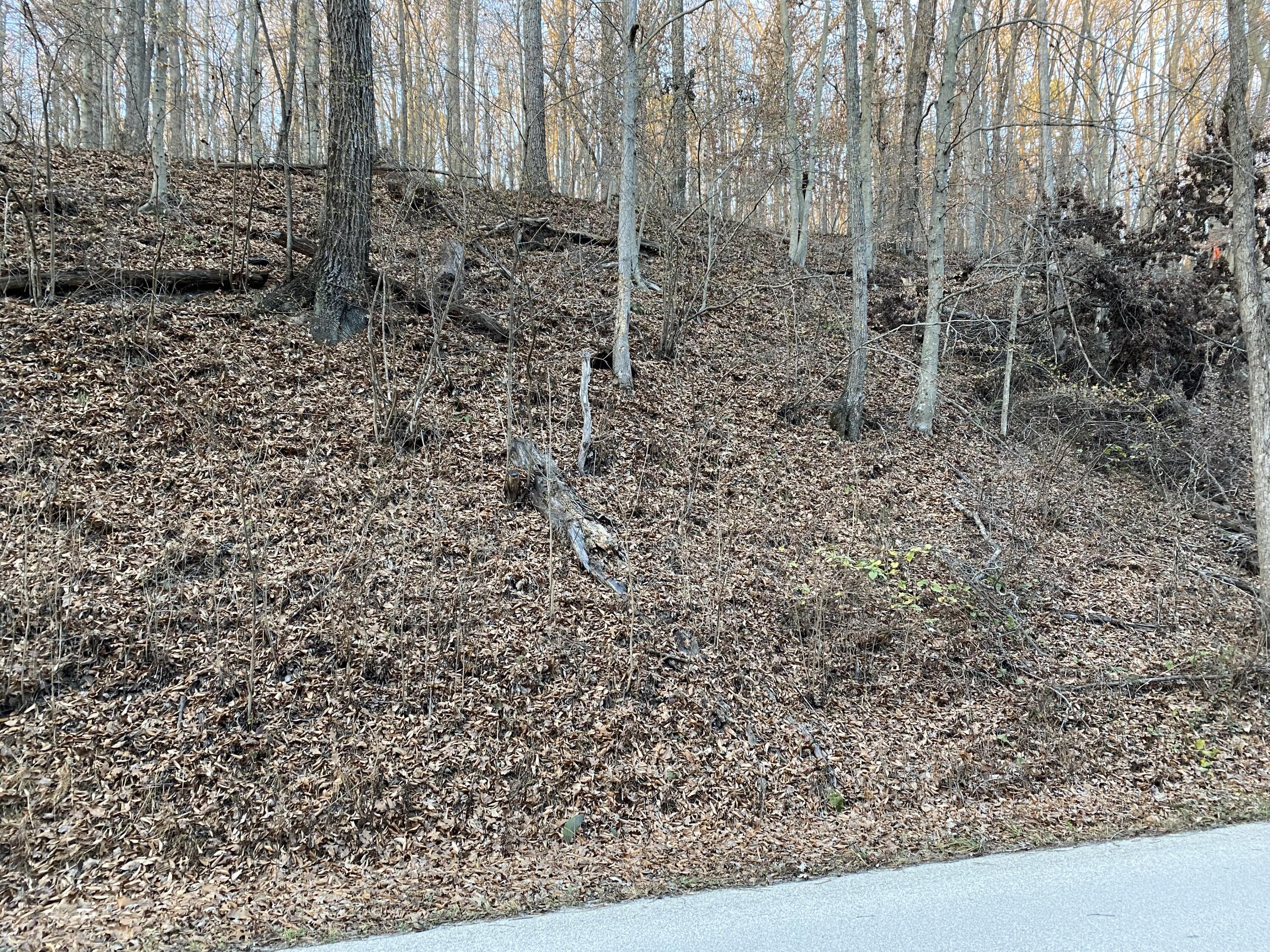 1680 Boy Scout Road Ray, OH 45672 - Photo 2 of 11