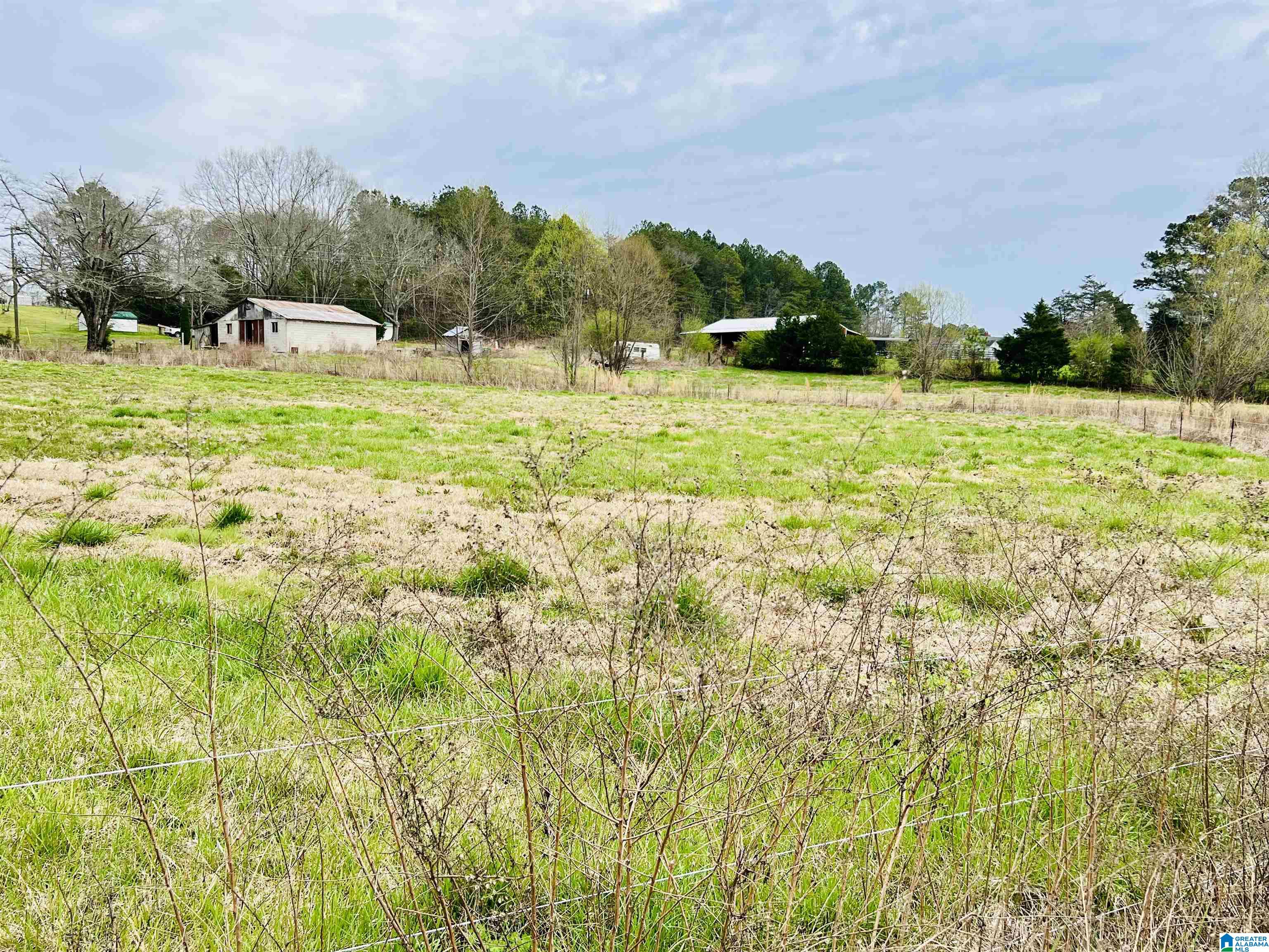 1111 Baty Road Cleveland, AL 35049 - Photo 13 of 35