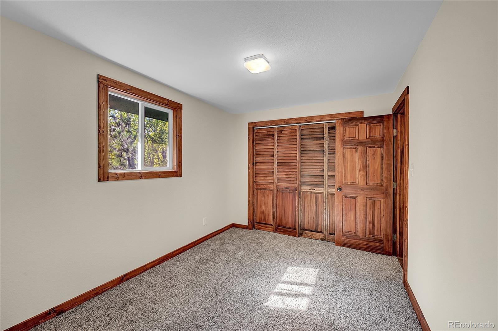 304 Houston Street Bailey, CO 80421 - Photo 26 of 50