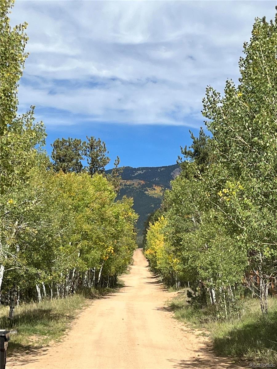 304 Houston Street Bailey, CO 80421 - Photo 48 of 50