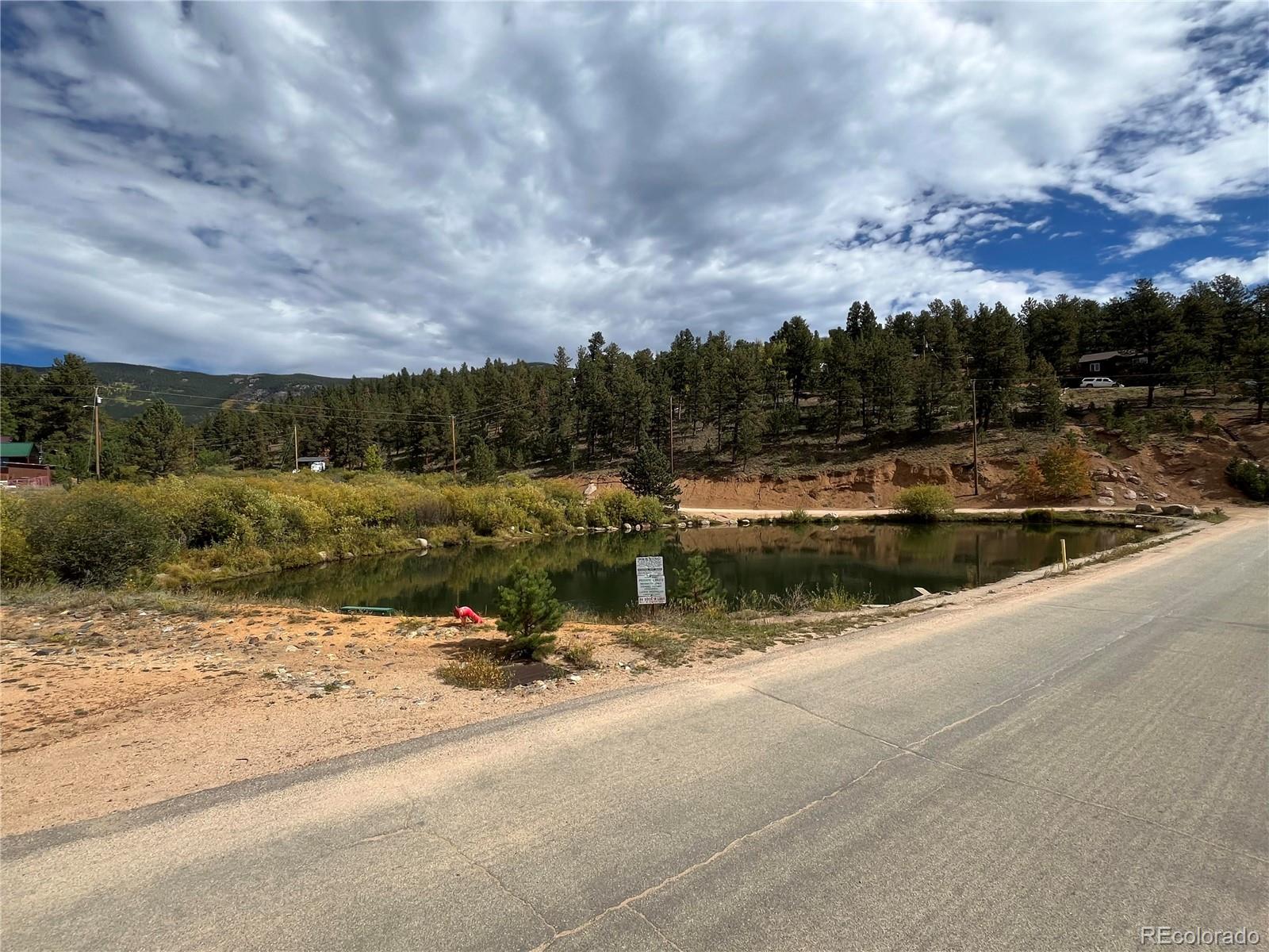 304 Houston Street Bailey, CO 80421 - Photo 50 of 50