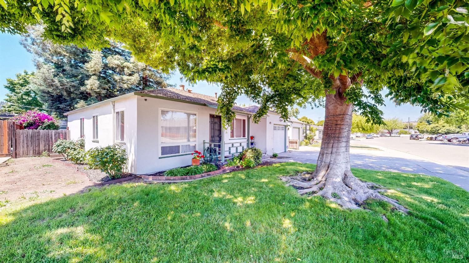 809 Maple Avenue Vallejo, CA 94591 - Photo 2 of 46 a view of a yard with plants and a large tree