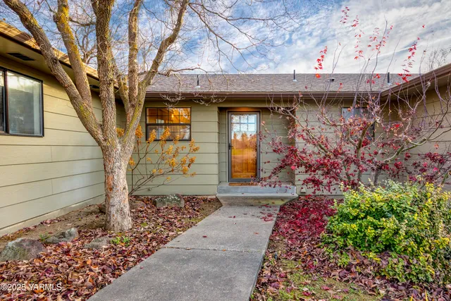 a view of a pathway with a tree
