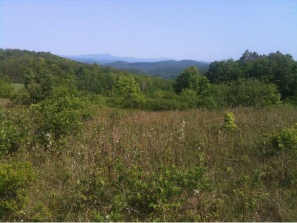 1460 Durgin Hill Road Vershire, VT 05079 - Photo 1 of 1