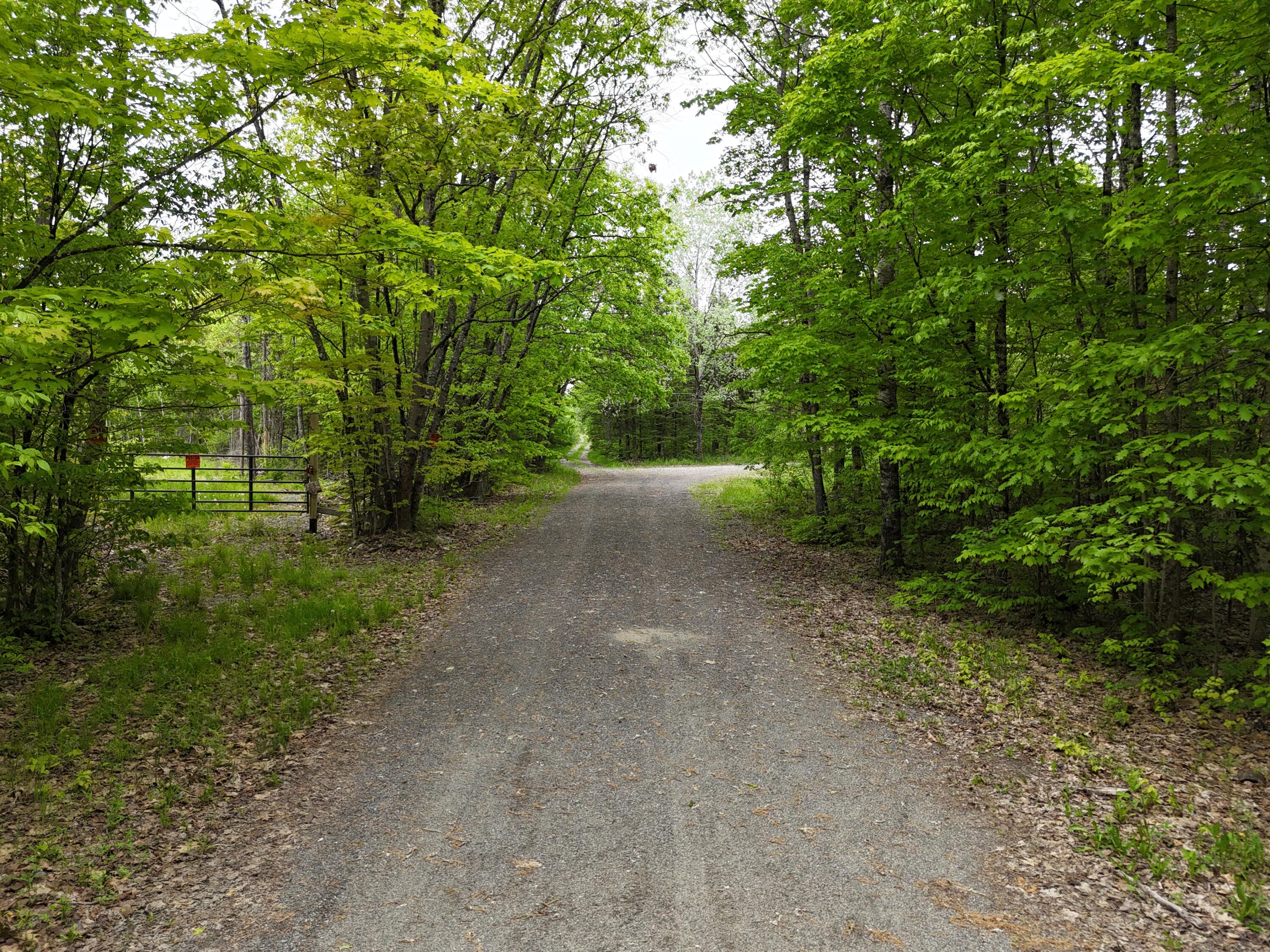 385 Johnson Flat Road Pittsfield, ME 04927 - Photo 42 of 45 Driveway
