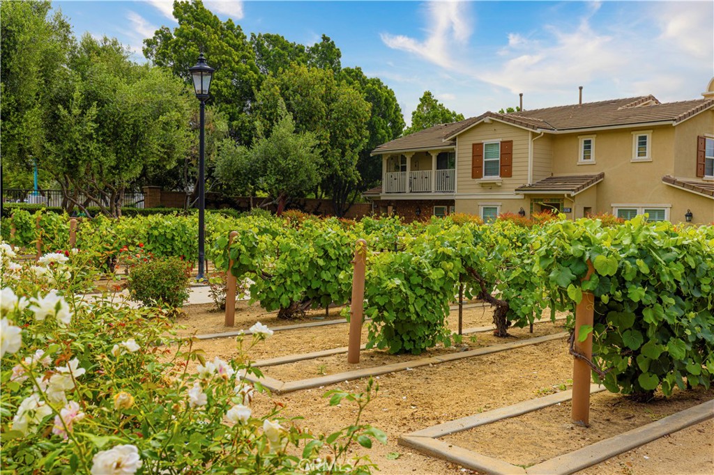 8541 Oak Barrel Place, Unit 2 Rancho Cucamonga, CA 91730 - Photo 27 of 50 a front view of a house with a yard