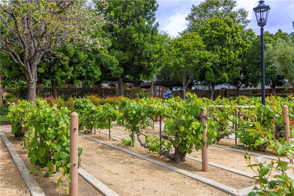 8541 Oak Barrel Place, Unit 2 Rancho Cucamonga, CA 91730 - Photo 28 of 50 a view of a garden with flowers