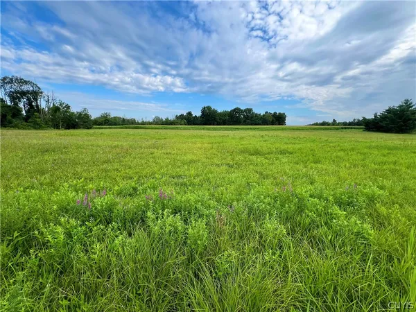 $89,900 | Rt-31, Elbridge, NY 13080