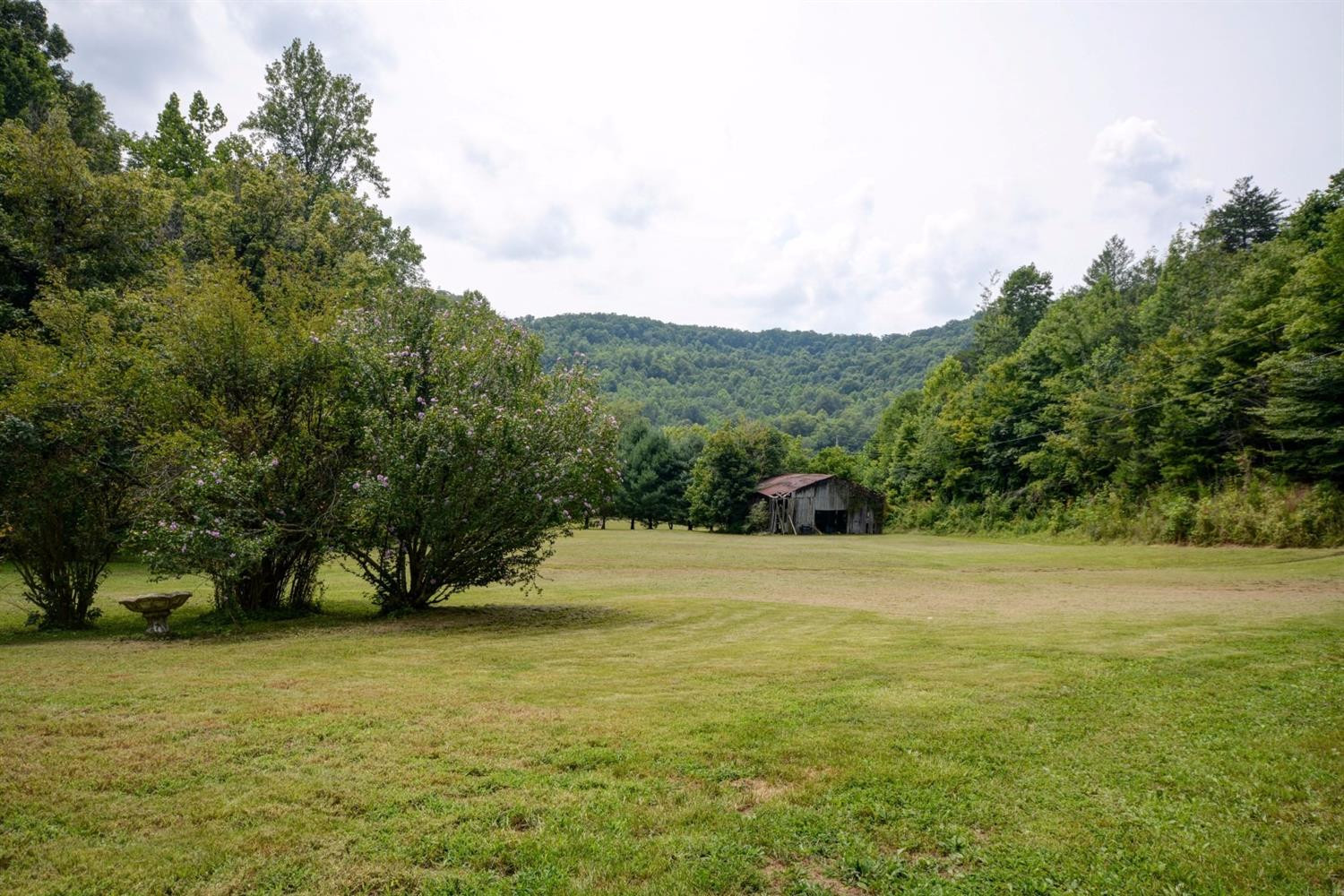 1893 Cat Creek Road Stanton, KY 40380 - Photo 13 of 22 Photo 13
