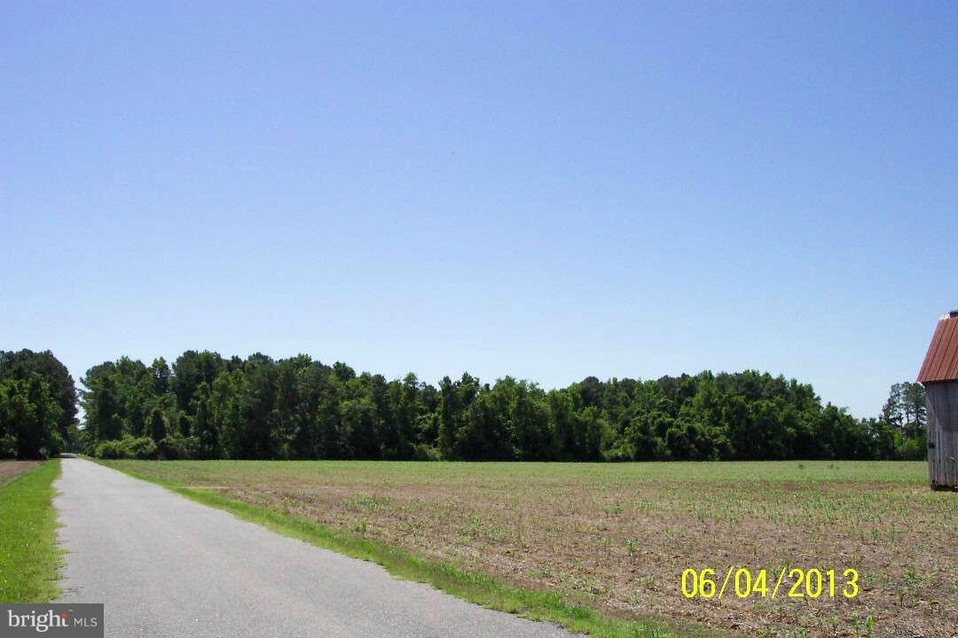 Wilson Point Road Newburg, MD 20664 - Photo 3 of 7 Exterior (General)