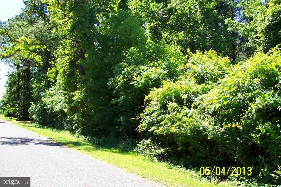 Wilson Point Road Newburg, MD 20664 - Photo 4 of 7 Exterior (General)